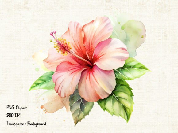 Download Soft Pink Hibiscus Flower PNG Clipart - Soft pink Collection