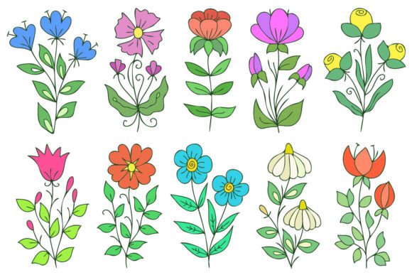 Download Colorful Cute Flowers - Colorful Collection